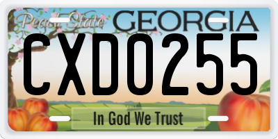 GA license plate CXD0255
