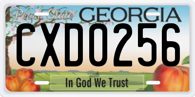 GA license plate CXD0256