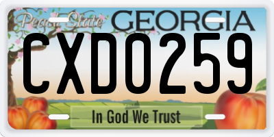 GA license plate CXD0259