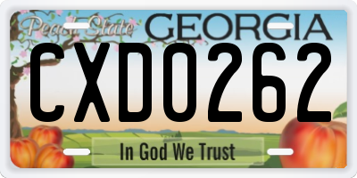 GA license plate CXD0262