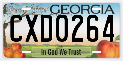 GA license plate CXD0264