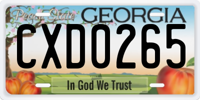 GA license plate CXD0265