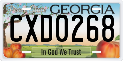 GA license plate CXD0268