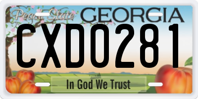 GA license plate CXD0281