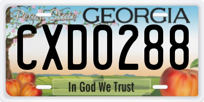 GA license plate CXD0288