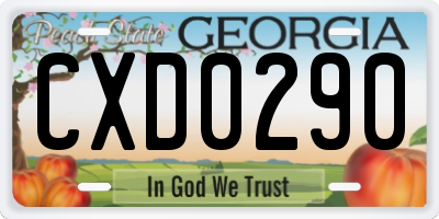 GA license plate CXD0290