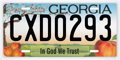 GA license plate CXD0293