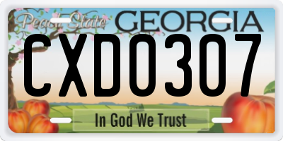 GA license plate CXD0307