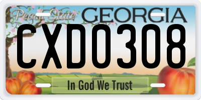 GA license plate CXD0308