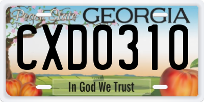 GA license plate CXD0310