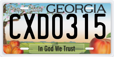 GA license plate CXD0315