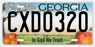GA license plate CXD0320