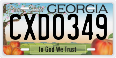 GA license plate CXD0349