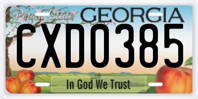 GA license plate CXD0385