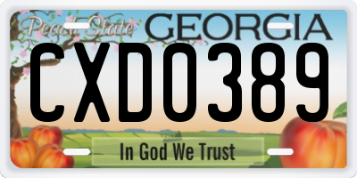 GA license plate CXD0389