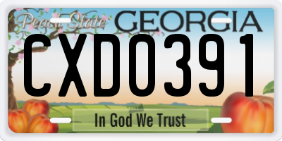 GA license plate CXD0391
