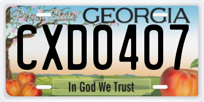 GA license plate CXD0407