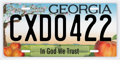 GA license plate CXD0422