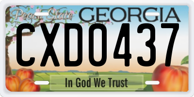 GA license plate CXD0437