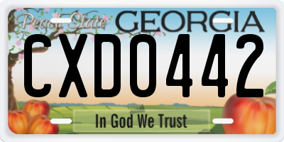 GA license plate CXD0442