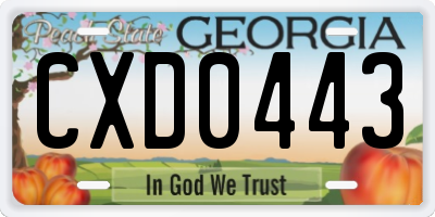 GA license plate CXD0443