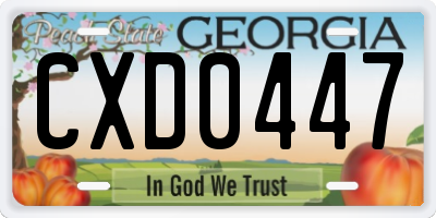 GA license plate CXD0447