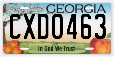 GA license plate CXD0463