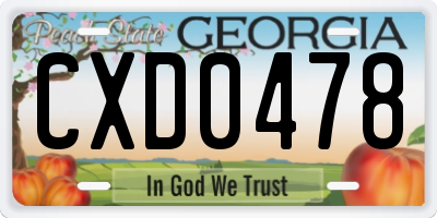 GA license plate CXD0478