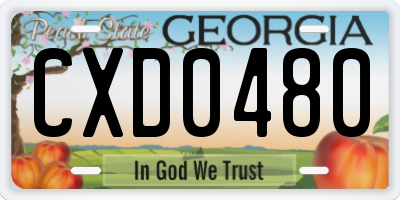 GA license plate CXD0480