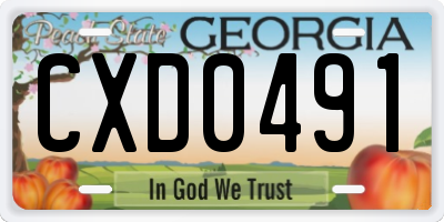 GA license plate CXD0491