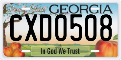 GA license plate CXD0508