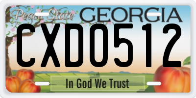 GA license plate CXD0512