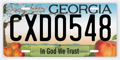 GA license plate CXD0548