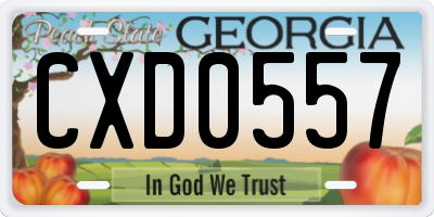 GA license plate CXD0557