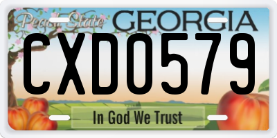 GA license plate CXD0579