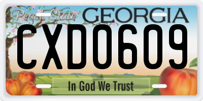 GA license plate CXD0609