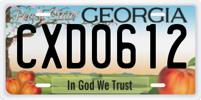 GA license plate CXD0612