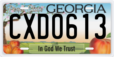 GA license plate CXD0613