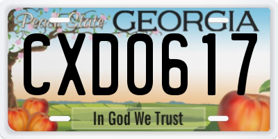 GA license plate CXD0617