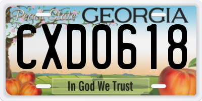 GA license plate CXD0618