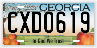 GA license plate CXD0619