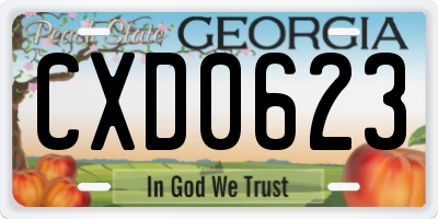 GA license plate CXD0623