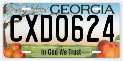 GA license plate CXD0624