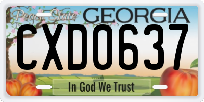 GA license plate CXD0637