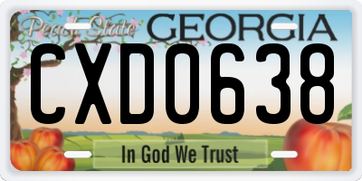 GA license plate CXD0638
