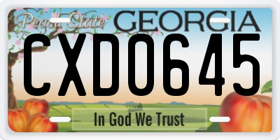 GA license plate CXD0645