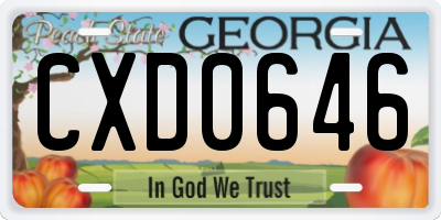 GA license plate CXD0646
