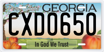 GA license plate CXD0650