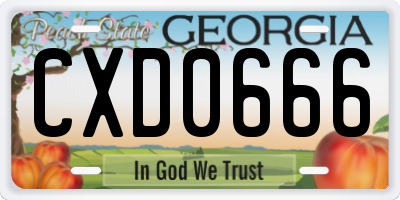 GA license plate CXD0666