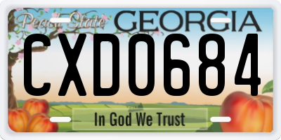 GA license plate CXD0684